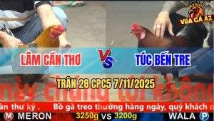 Trận 28 CPC5 7/11/2025 - Anh Lâm Cần Thơ Và Anh Túc Bến Tre