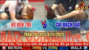 Trận 28 CPC5 8/11/2025 - Anh Vũ Bến Tre Và Anh Củi Rạch Giá