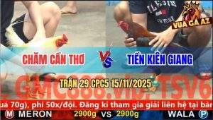 Trận 29 CPC5 15/11/2025 - Anh Chăm Cần Thơ Và Anh Hiếu Long Xuyên