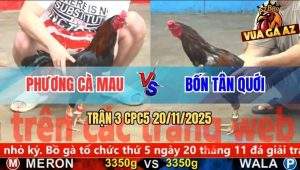 Trận 3 CPC5 20/11/2025 - Que Cọp Anh Phương Đá Toàn Đâm Đầu Cần