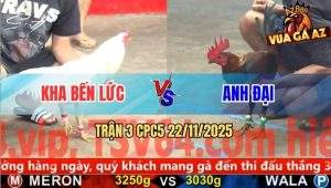 Trận 3 CPC5 22/11/2025 - Gà Bướm Anh Kha Bến Lức Nhấc Chân Là Có Cựa