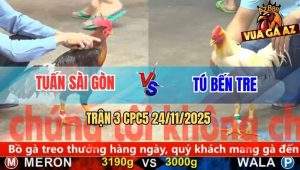 Trận 3 CPC5 24/11/2025 - Gà Điều Anh Tuấn Trói Giò Gà Úa Anh Tú