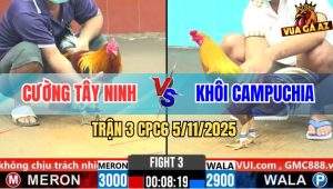 Trận 3 CPC6 5/11/2025 - Đám Gà Khét Campuchia Đâm Điều Không Kịp Thở