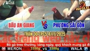Trận 30 CPC5 4/11/2025 - Anh Bầu An Giang Và Anh Phương Sài Gòn