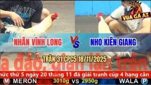 Trận 31 CPC5 18/11/2025 - Úa Đá 10 Chân Tịt Ngòi, Bướm 1 Đá Lụm Tiền