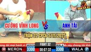 Trận 32 CPC6 5/11/2025 - Bướm Bay Qua Nạp Mấy Chân Úa Nằm Bất Tỉnh