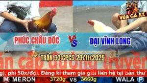 Trận 33 CPC5 23/11/2025 - Bướm Anh Đại Đứng Cầm Hơi, Tiền Về Đầy Bao