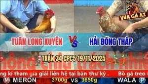 Trận 34 CPC5 19/11/2025 - Gà Vàng Anh Tuấn Đá Không Kịp Tha Lơ