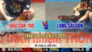 Trận 34 CPC5 8/11/2025 - Anh Hậu Cần Thơ Và Anh Long Sài Gòn