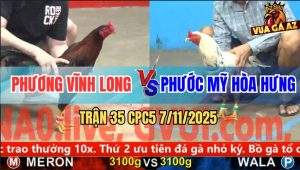 Trận 35 CPC5 7/11/2025 - Anh Phương Vĩnh Long Và Anh Phước Mỹ Hòa Hưng