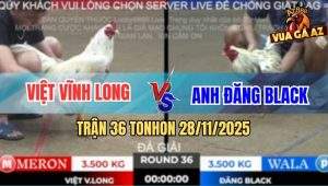 Trận 36 TonHon 28/11/2025 - Anh Việt Vĩnh Long Gặp Anh Đăng Black