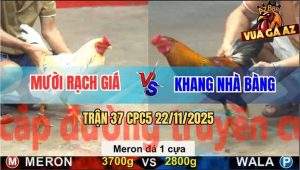 Trận 37 CPC5 22/11/2025 - Bướm Chấp Đá 1 Cựa Đâm Điều Tắt Thở