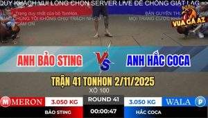 Trận 41 TonHon 2/11/2025 - Bảo Sting 10 Đòn Hay Không Bằng 1 Cựa Hiểm