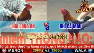 Trận 43 CPC5 16/11/2025 - Anh Hải Long An Và Anh Nhí Cà Mau