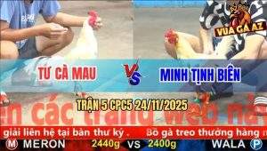Trận 5 CPC5 24/11/2025 - Gà Bướm Anh Tư Bỏ Chiến Công Báo Hại Hàng Sáo