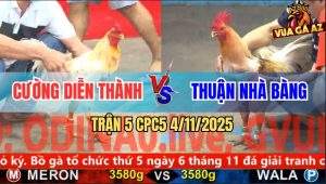 Trận 5 CPC5 4/11/2025 - Anh Cường Diễn Thành Và Anh Thuận Nhà Bàng