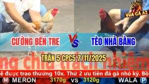 Trận 5 CPC5 7/11/2025 - Anh Cường Bến Tre Và Anh Tèo Nhà Bàng