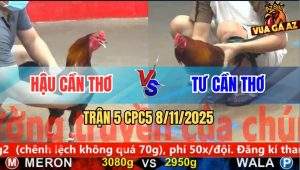 Trận 5 CPC5 8/11/2025 - Anh Hậu Cần Thơ Và Anh Tư Cần Thơ