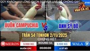 Trận 54 TonHon 2/11/2025 - Chung Kết Giữa Anh Đuôn CPC Và Anh Sỹ Bò
