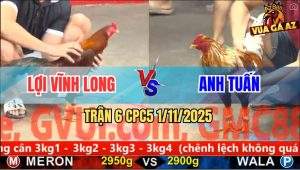 Trận 6 CPC5 1/11/2025 - Anh Lợi Vĩnh Long Và Anh Tuấn