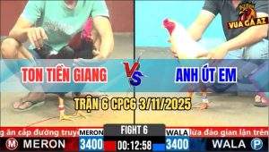 Trận 6 CPC6 3/11/2025 - Gà Bướm Anh Út Em Đá Mu Lưng Nhìn Thấy Ham