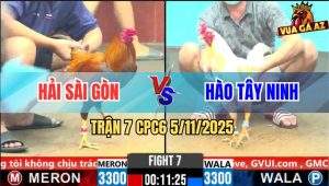 Trận 7 CPC6 5/11/2025 - Gà Khét Anh Hải Phản Ăn 2 Đưa Biện Ra Đảo