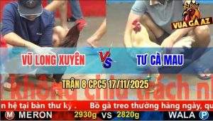 Trận 8 CPC5 17/11/2025 - Gà Úa Anh Tư Đâm Điều Gãy Cánh Chạy Mất Dép