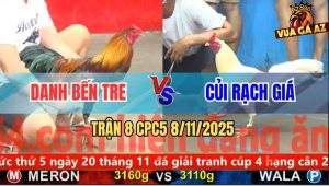 Trận 8 CPC5 8/11/2025 - Anh Danh Bến Tre Và Anh Củi Rạch Giá