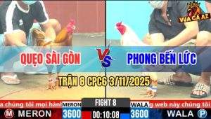 Trận 8 CPC6 3/11/2025 - Bướm Anh Phong Đá Khét Như Con Vô Kính Bỏ Chạy