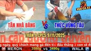 Trận 9 CPC5 9/11/2025 - Anh Tân Nhà Bàng Và Anh Thức Vũng Tàu