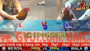 Trận 11 CPC5 29/11/2025