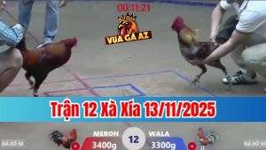 Trận 12 Xà Xía 13/11/2025