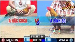 Tran 16 CPC3 30112025