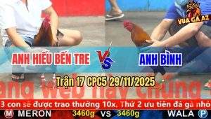Trận 17 CPC5 29/11/2025