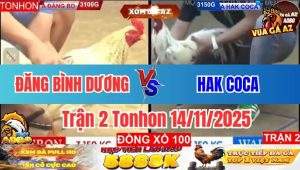 Trận 2 Tonhon 14/11/2025