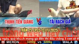 Trận 25 CPC5 12/11/2025