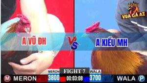 Tran 7 CPC3 30112025