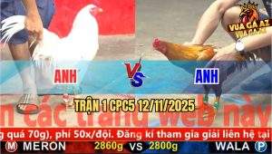 Trận 1 CPC5 12/11/2025