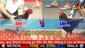 Trận 1 CPC5 13/11/2025