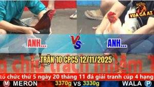 Trận 10 CPC5 12/11/2025