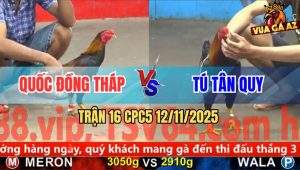 Trận 16 CPC5 12/11/2025