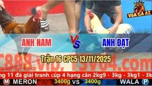 Trận 16 CPC5 13/11/2025