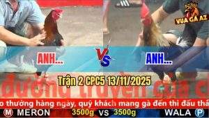 Trận 2 CPC5 13/11/2025