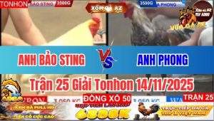 Trận 25 Tonhon 14/11/2025