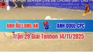 Trận 29 Giải Tonhon 14/11/2025