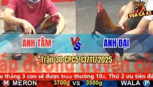 Trận 30 CPC5 13/11/2025