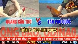 Trận 35 CPC5 11/11/2025
