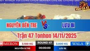 Trận 47 Tonhon 14/11/2025