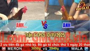 Trận 6 CPC5 13/11/2025