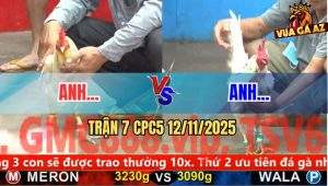 Trận 7 CPC5 12/11/2025